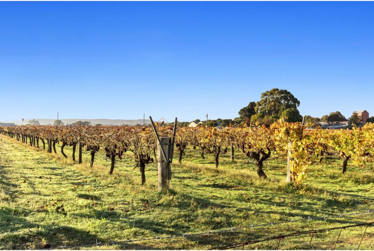 Discovery Parks - Swan Valley Caversham エクステリア 写真